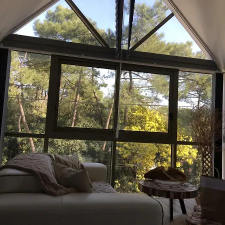 Appartement Loft Duplex Neuf 65m2 La Baule-Escoublac