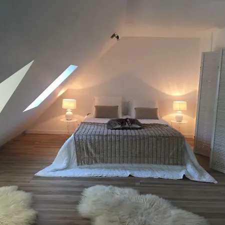 Appartement Loft Duplex Neuf 65m2