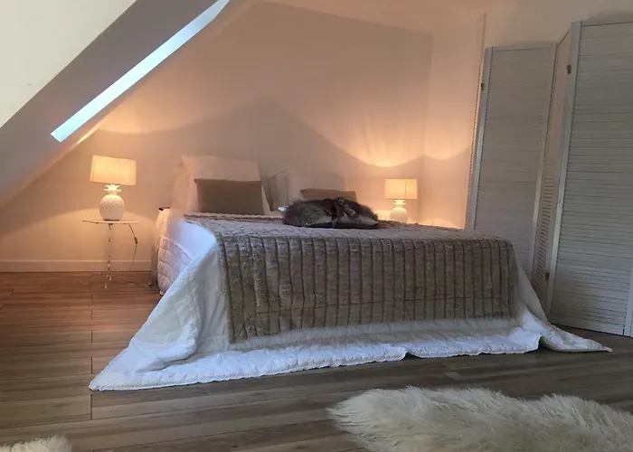 Loft Duplex Neuf 65m2 *