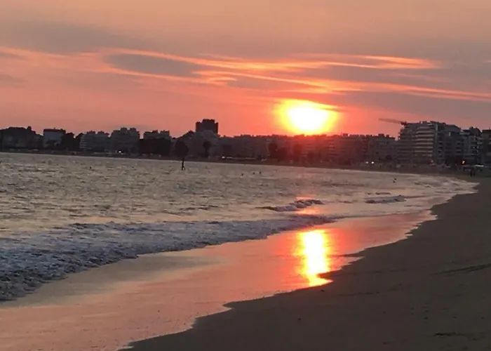 דירה Loft Duplex Neuf 65m2